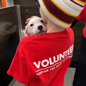 Team Page: The Unstop-PAWble Village